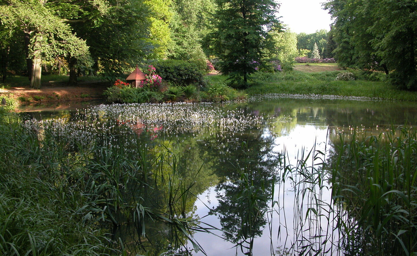 Schlossteich, Foto: R. Machnikowski / D. Thorausch