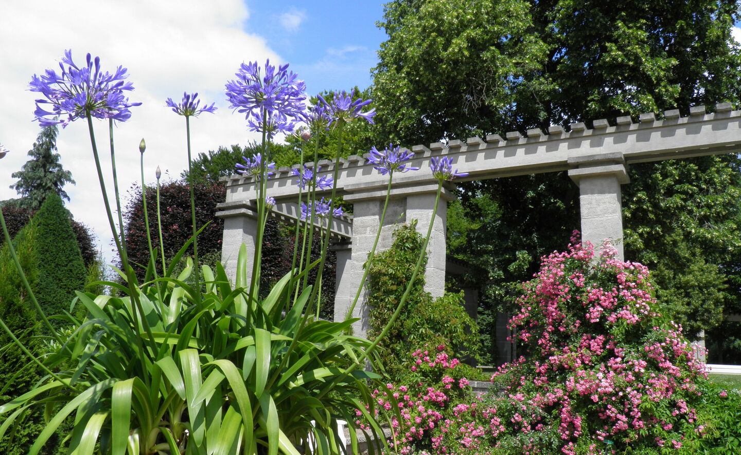 Am S&auml;ulenhof, Foto: Annette Schild