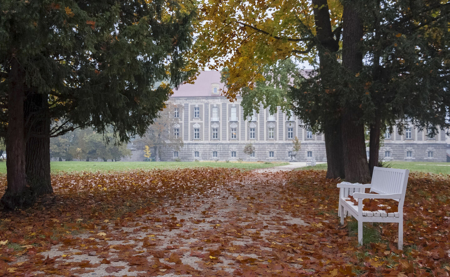 Herbst im Park, Foto: Adam Żyworonek
