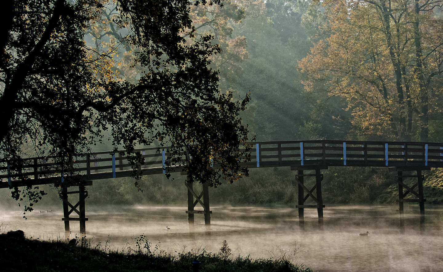 H&ouml;lzerne Br&uuml;cke &uuml;ber dem Kanal im Schlosspark, Foto: Adam Żyworonek