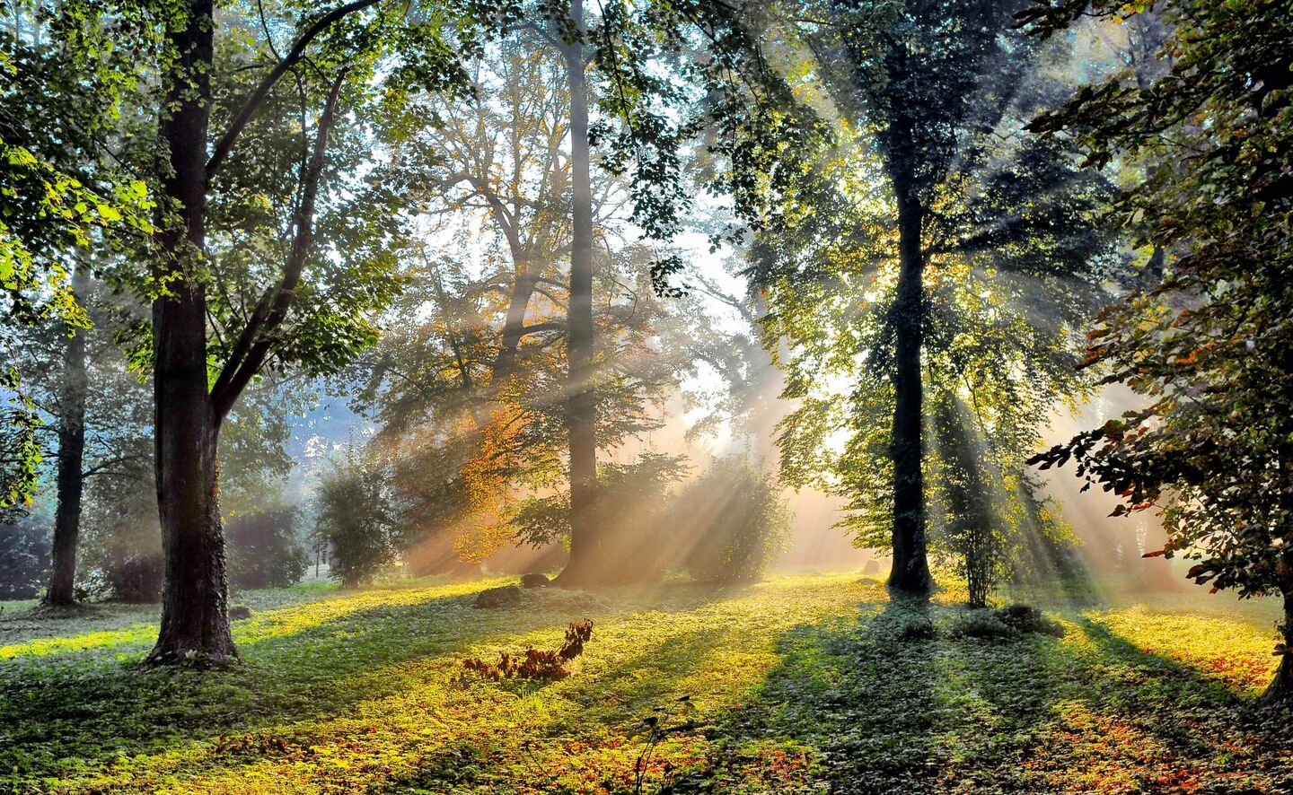 Der Schlosspark, Foto: Krzysztof Kilian