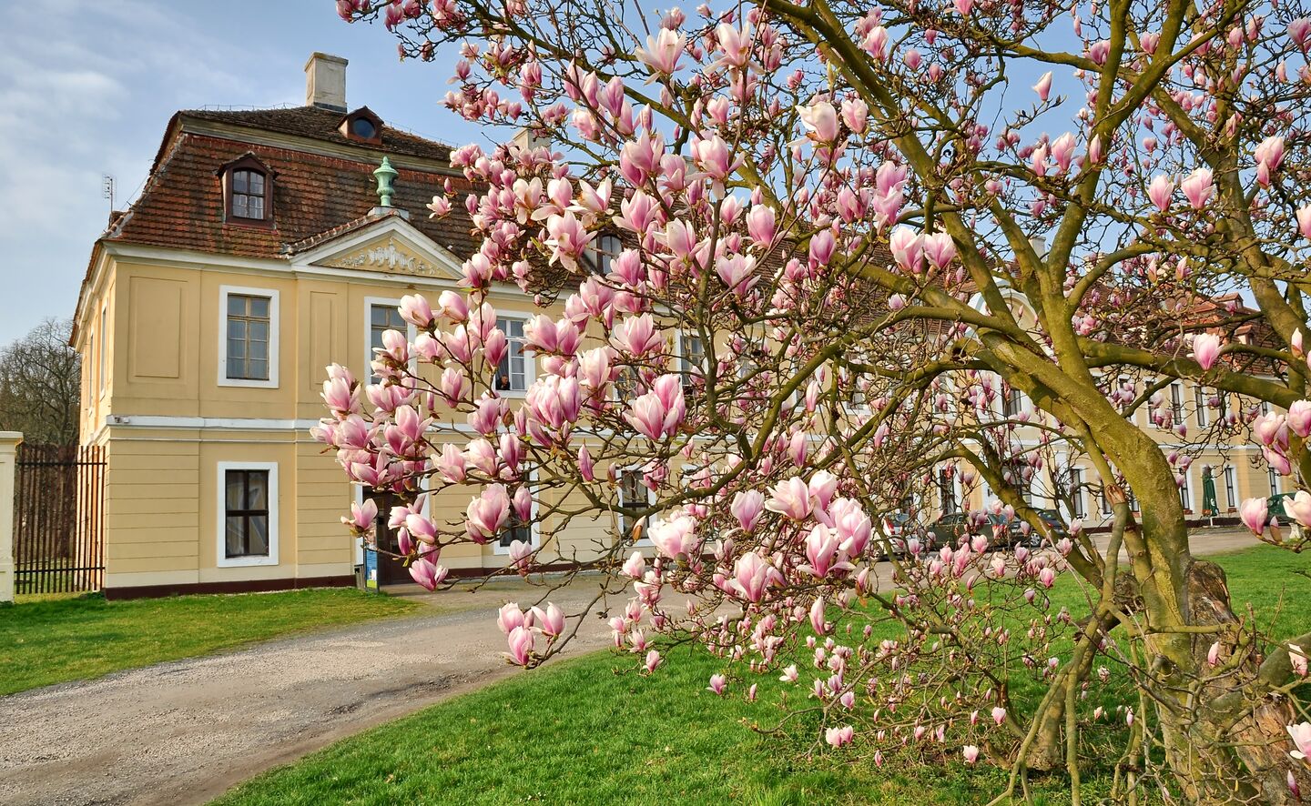 Schloss von Br&uuml;hl in Brody, Foto: Krzysztof Kilian