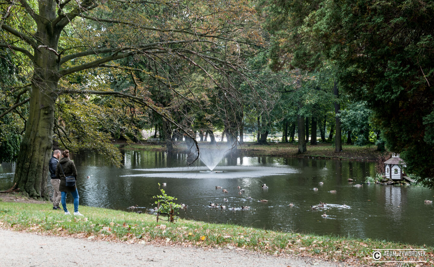Karpfenteich, Foto: Adam Żyworonek