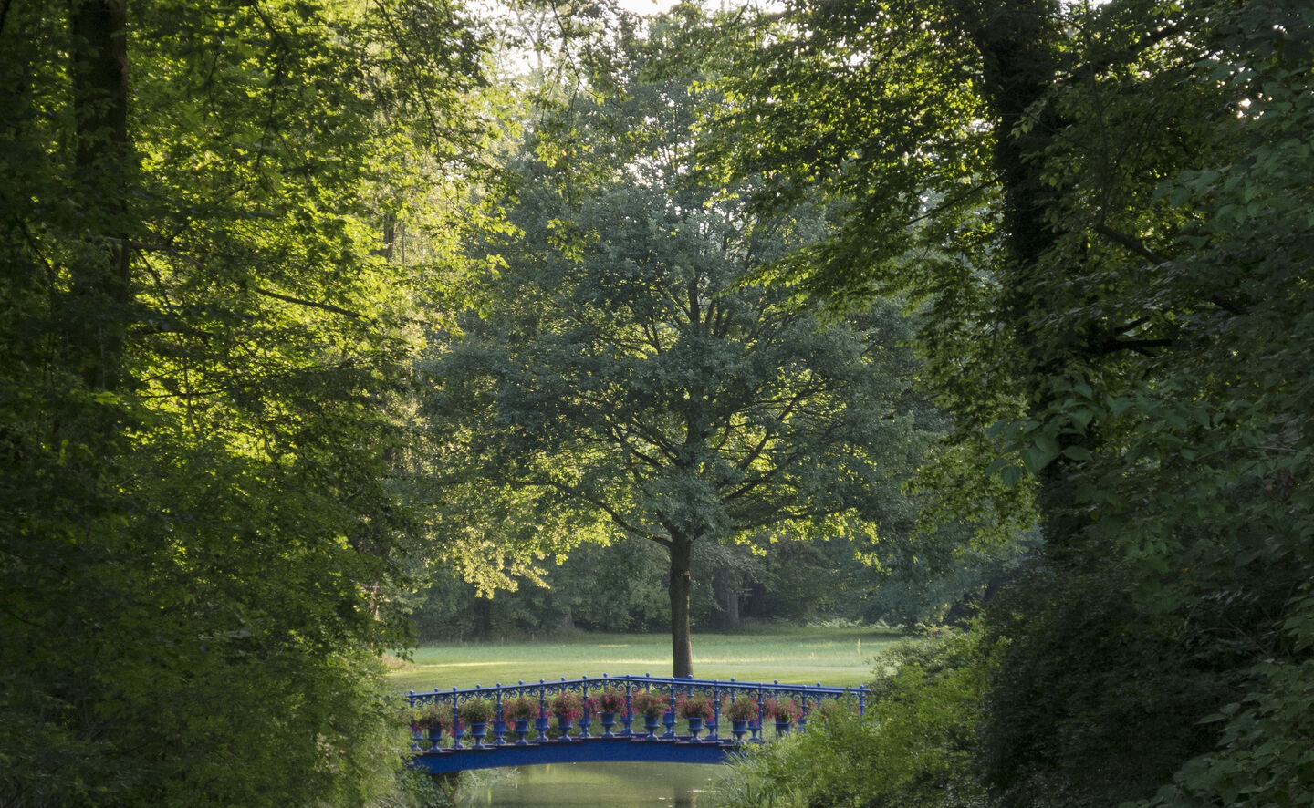 Fuchsienbr&uuml;cke, Foto: Holger Rothamel