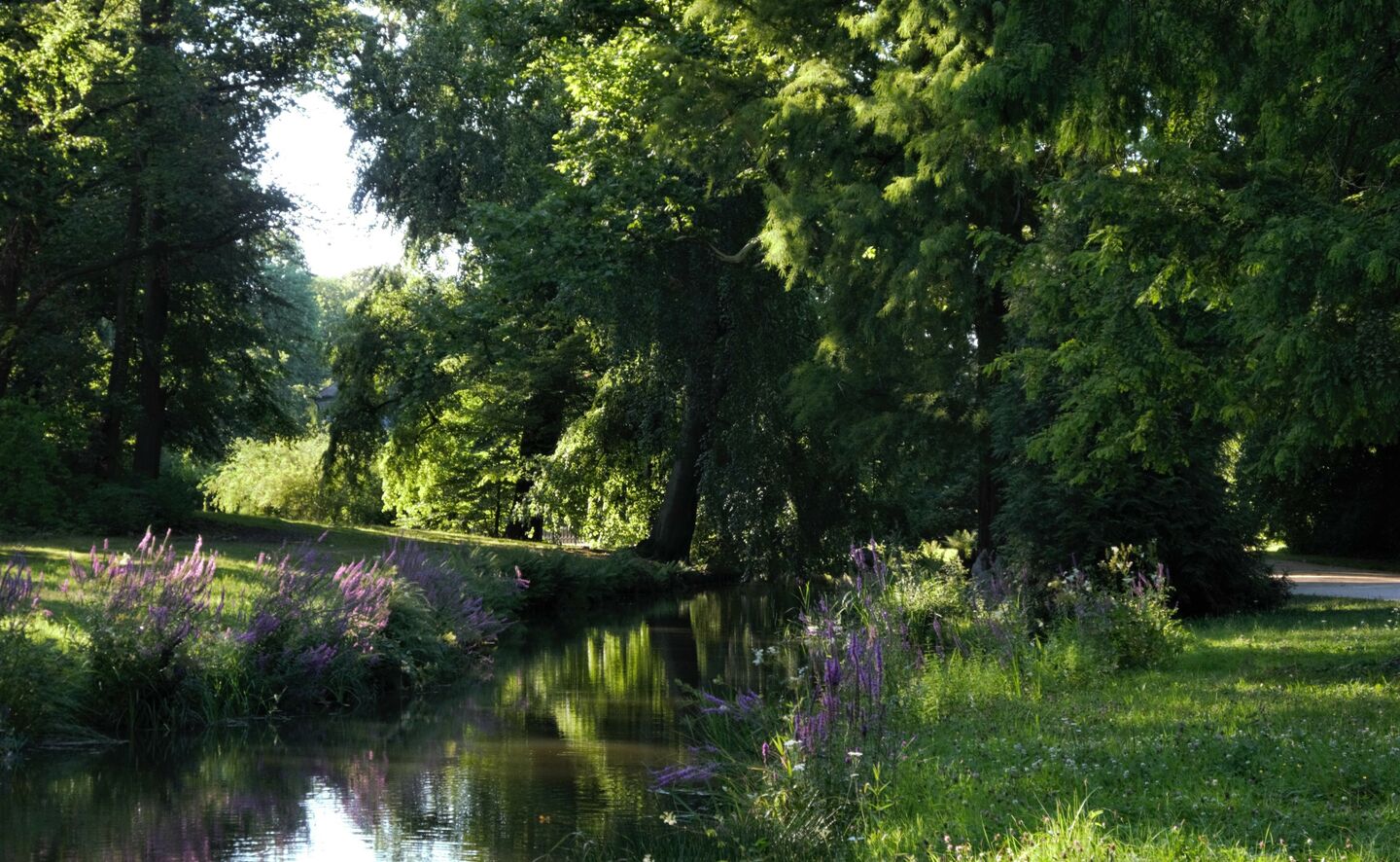 Hermannsnei&szlig;e, Foto: Holger Rothamel