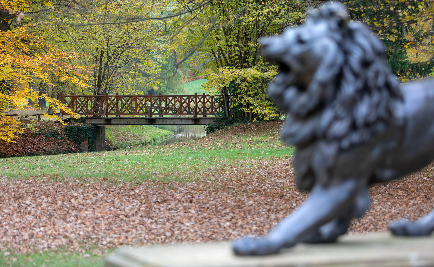 L&ouml;wen, Branitzer Park