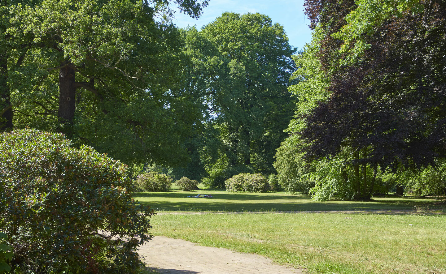 Blick in den Schlosspark Altd&ouml;bern, Foto: Boris Aehnelt