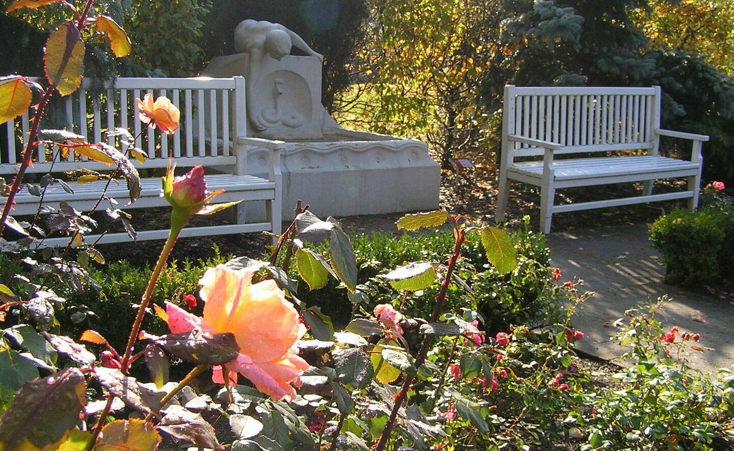 Herbstlicher Duftgarten, Foto A. Schild