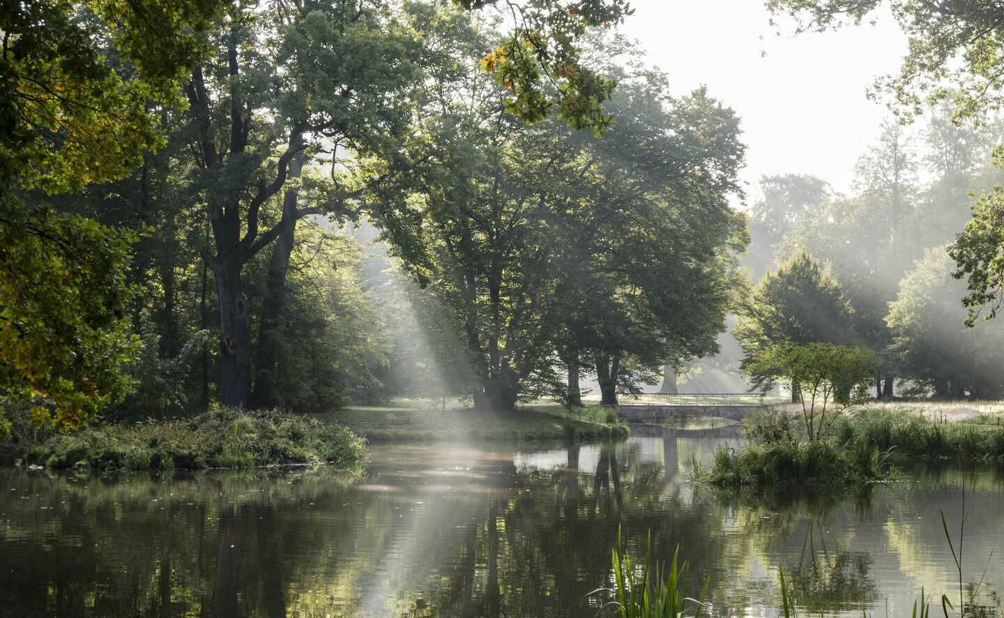 Eichsee, Foto: Holger Rothamel