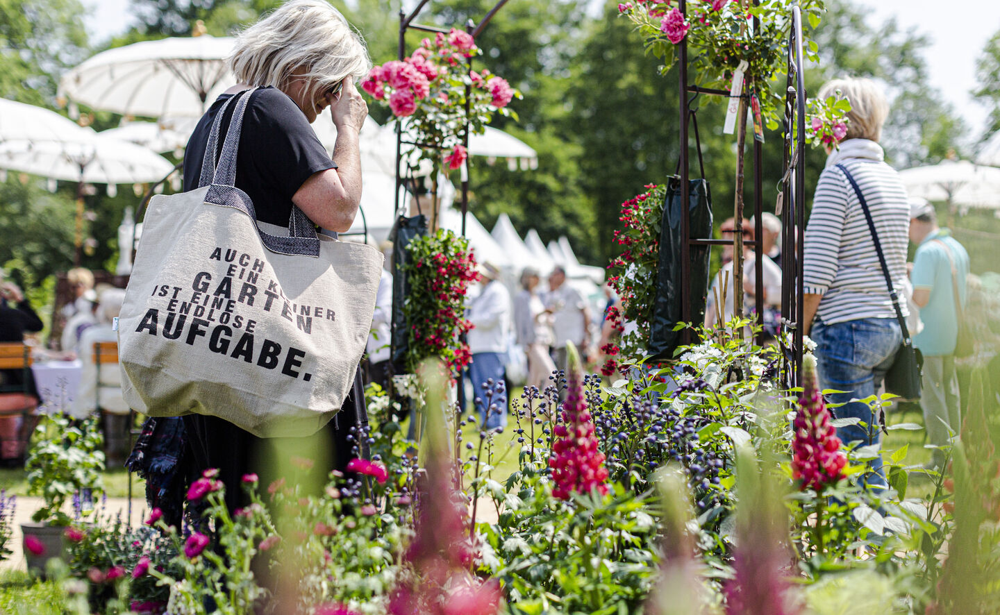 Branitzer Gartenmarkt 2, Foto. F. Br&ouml;cker