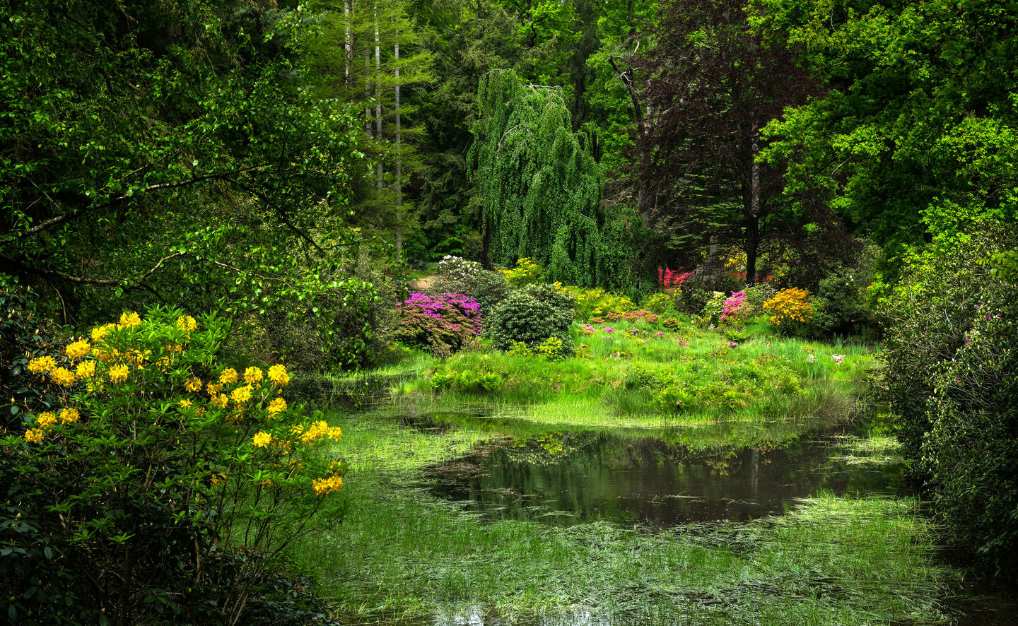 Inselteich, &copy; Leo Seidel