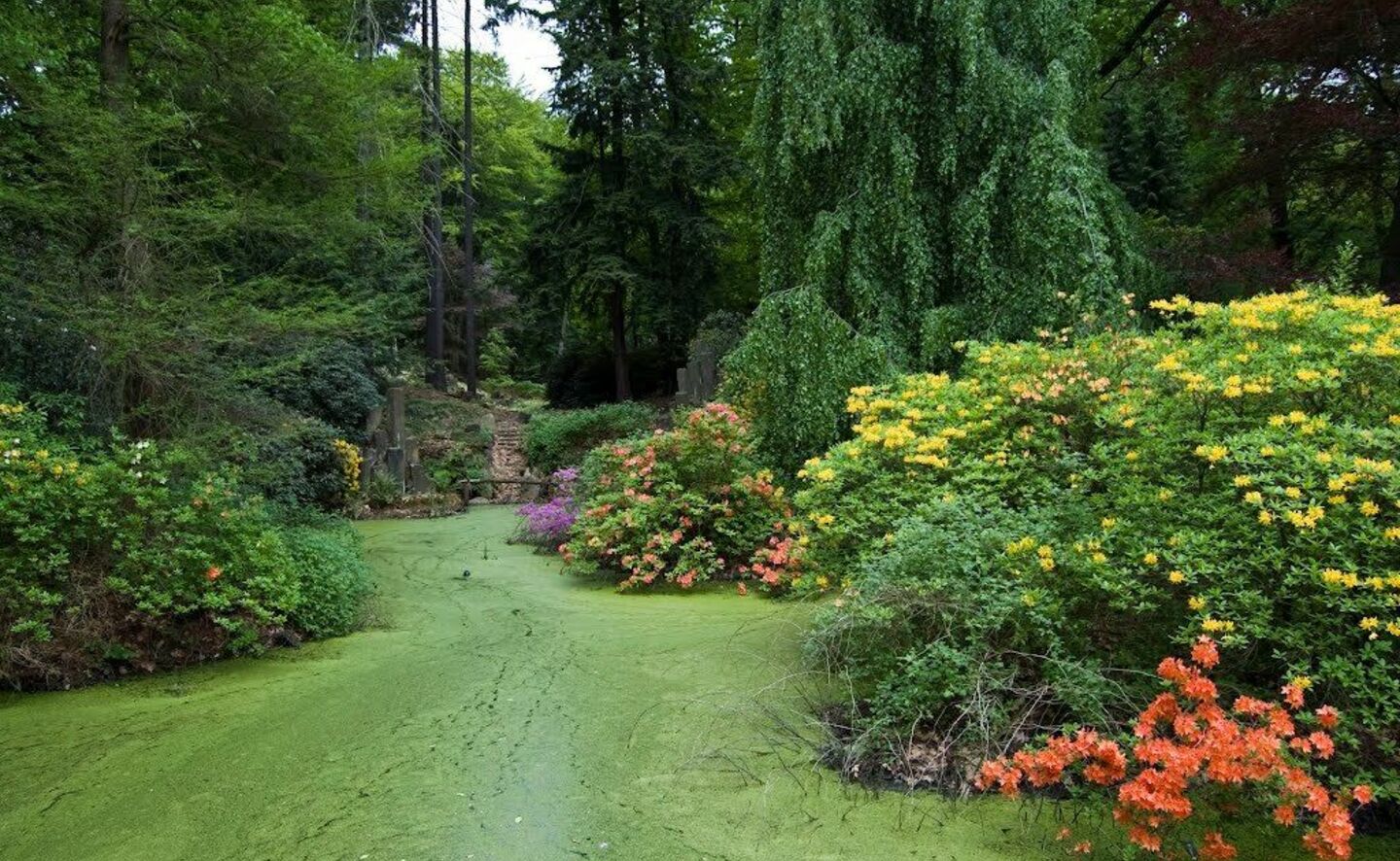 Am Inselteich, Foto: R. Machnikowski / D. Thorausch
