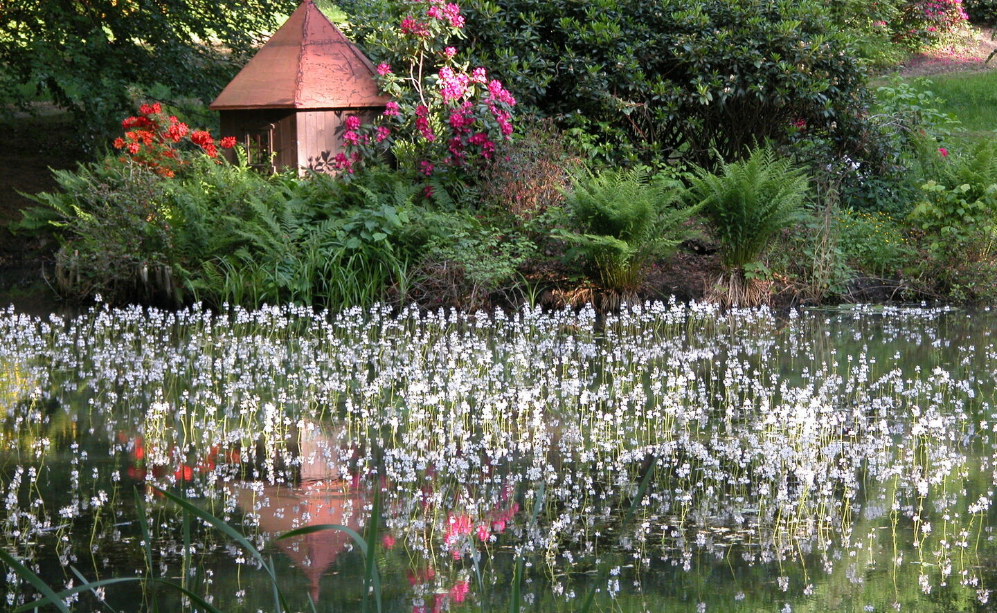 Schlossteich, Foto: R. Machnikowski / D. Thorausch