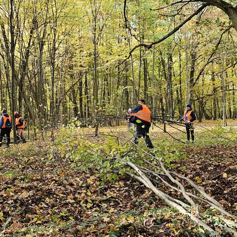 Parkseminar in Żagań am 18.10.2025, &copy; Stadt Żagań